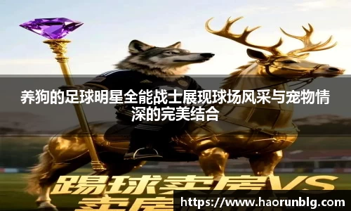 芒果体育app官网入口